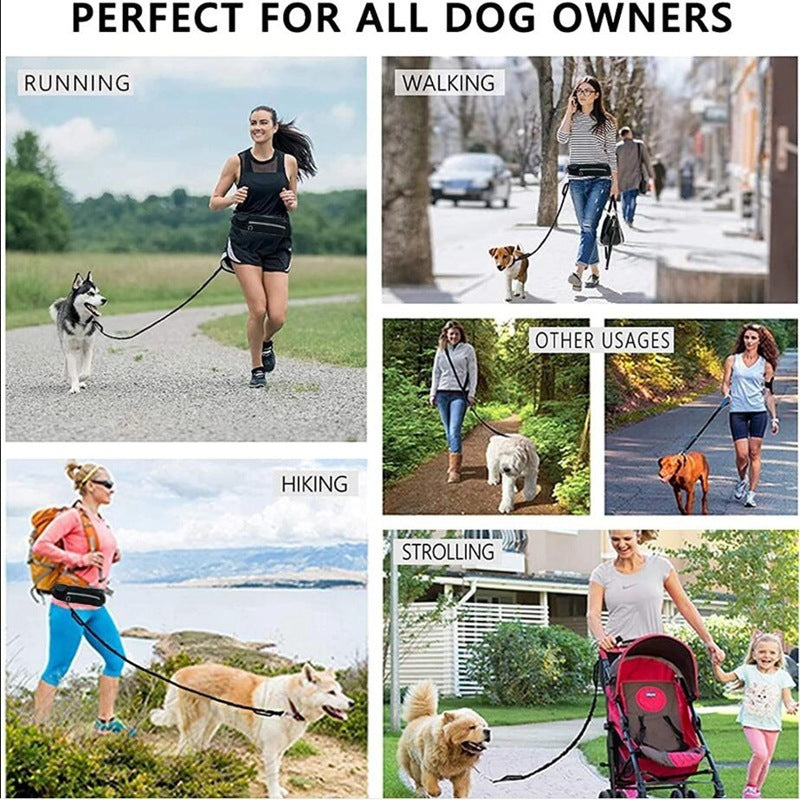 Hands Free Dog Leash with Accessory Holders