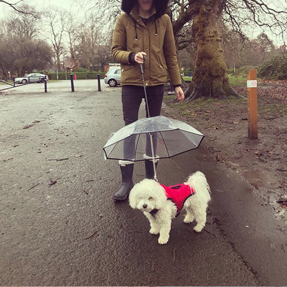 Transparent Umbrella for Pets
