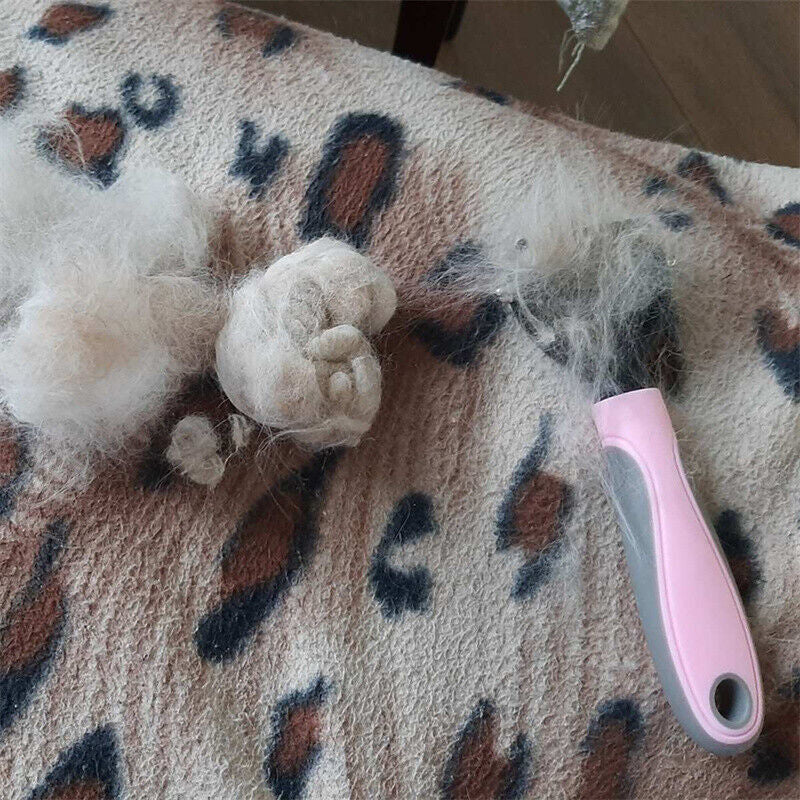 Grooming Pet Brush