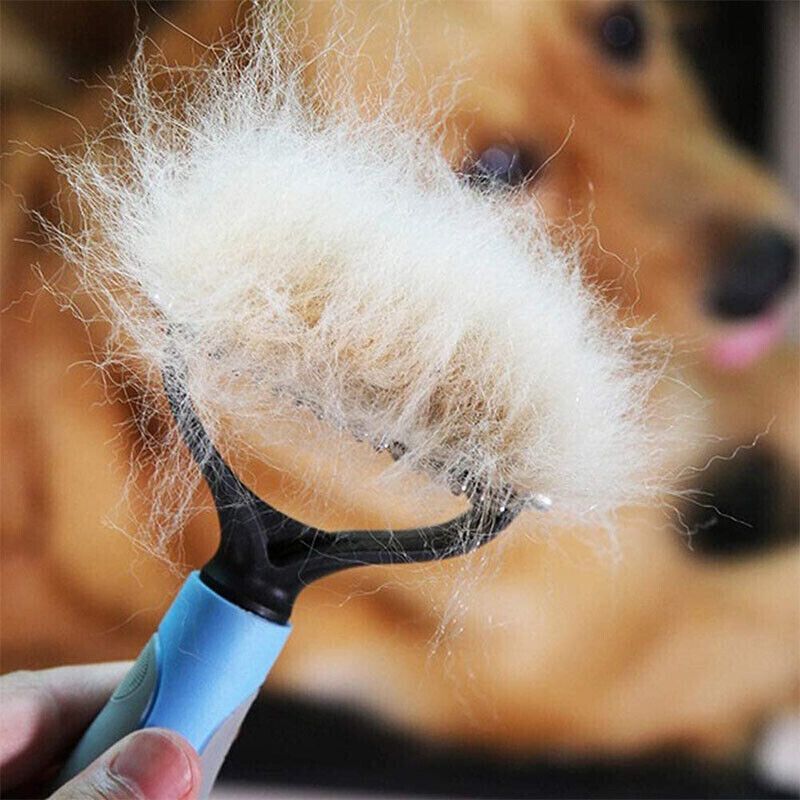 Grooming Pet Brush