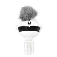 Interactive Cat Toy