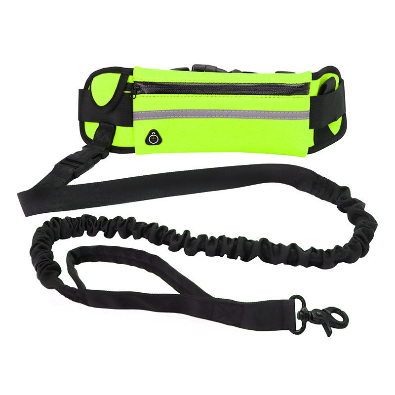 Hands Free Dog Leash with Accessory Holders