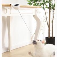 Interactive Cat Toy