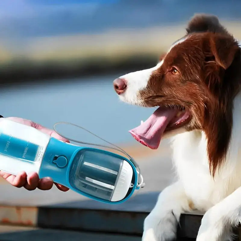 3-in-1 Portable Small Multi-functional Pet Cup