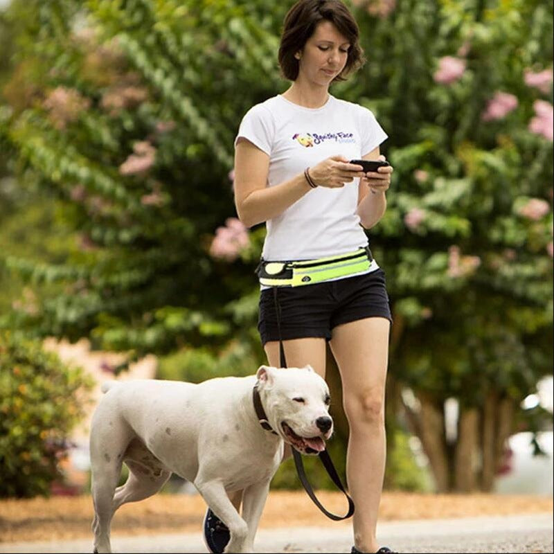Hands Free Dog Leash with Accessory Holders