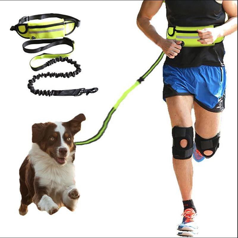 Hands Free Dog Leash with Accessory Holders