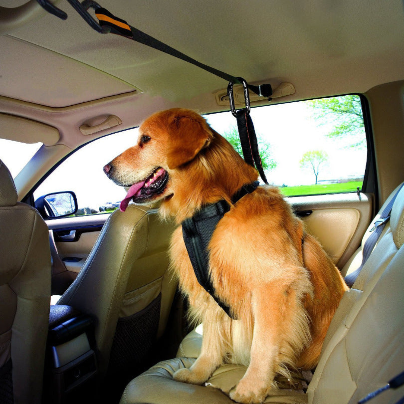 Pet Seat Belt