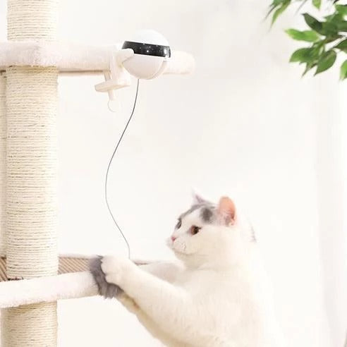 Interactive Cat Toy