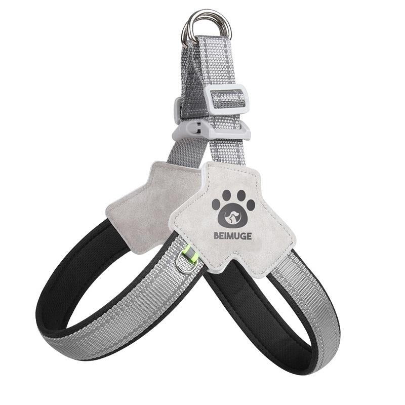 Dog Harness