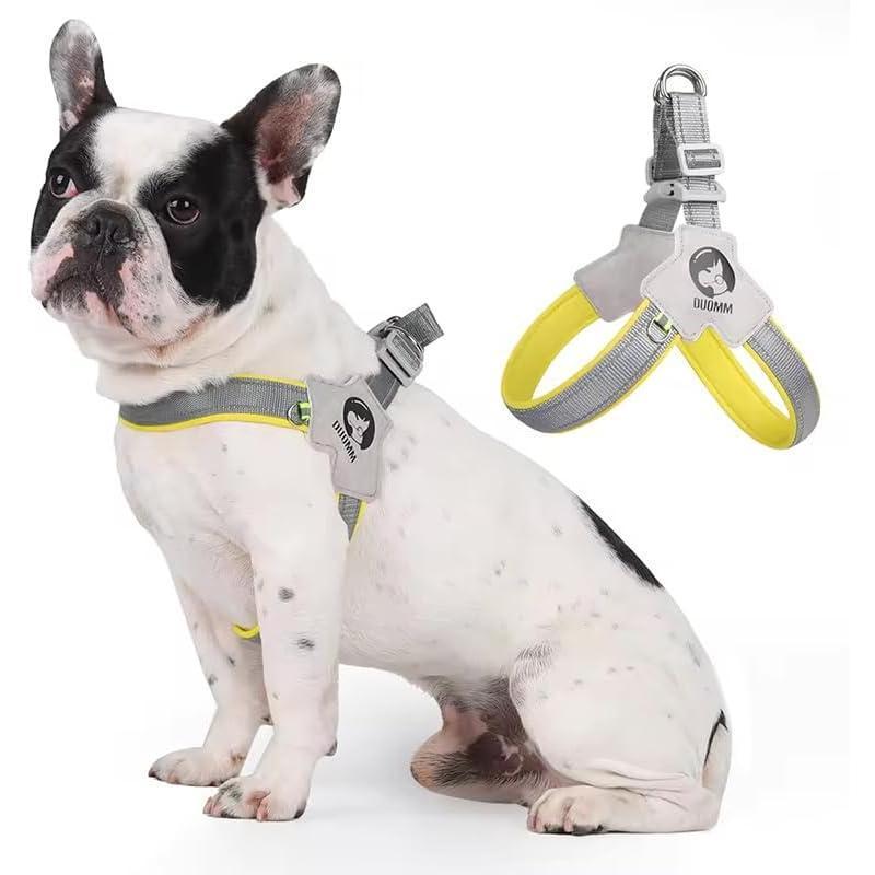 Dog Harness