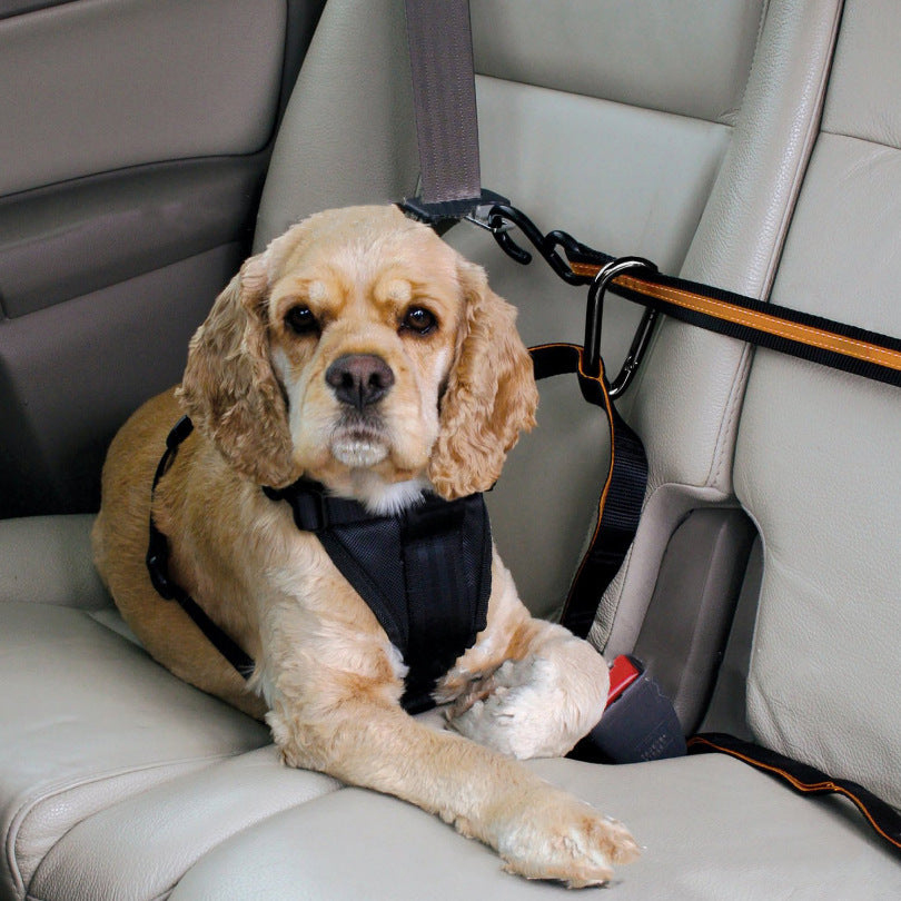 Pet Seat Belt
