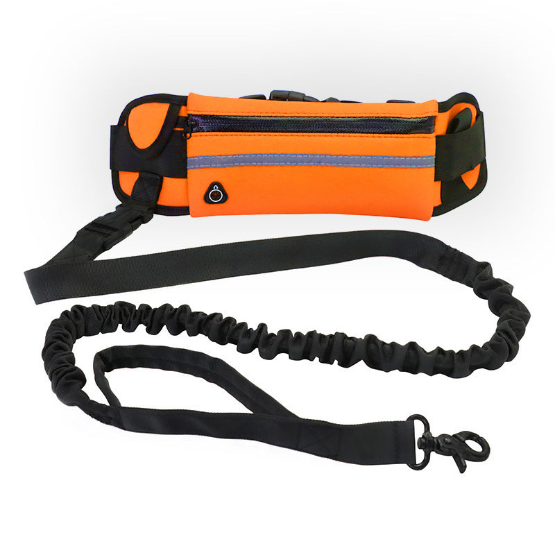 Hands Free Dog Leash with Accessory Holders