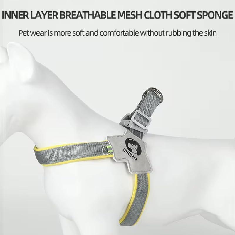 Dog Harness