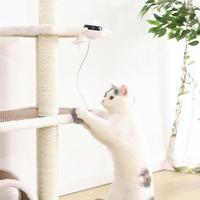Interactive Cat Toy