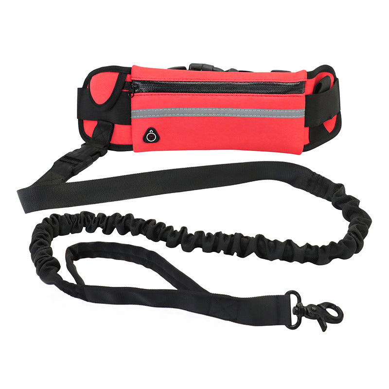 Hands Free Dog Leash with Accessory Holders