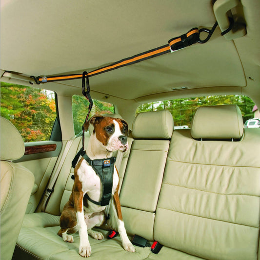 Pet Seat Belt